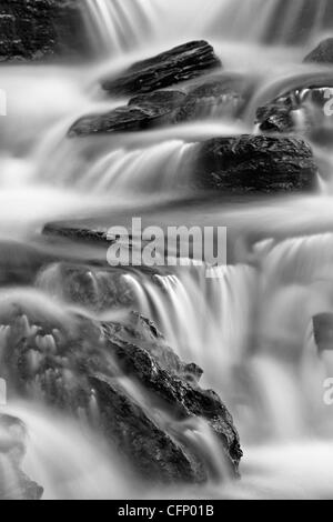 Falls Creek sur Logan, Glacier National Park, Montana, États-Unis d'Amérique, Amérique du Nord Banque D'Images