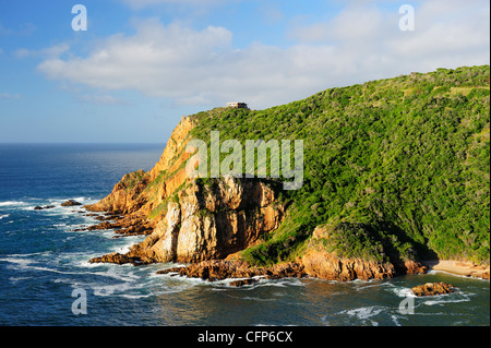 Les Têtes à Knysna sur la Garden Route, Western Cape, Afrique du Sud Banque D'Images