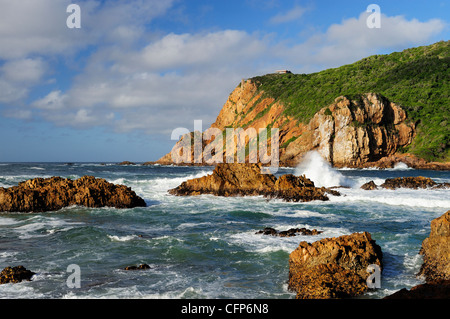 Les Têtes à Knysna sur la Garden Route, Western Cape, Afrique du Sud Banque D'Images