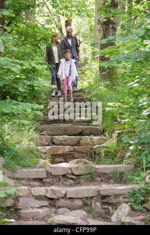 Balades en famille en bas des marches en pierre dans les bois Banque D'Images