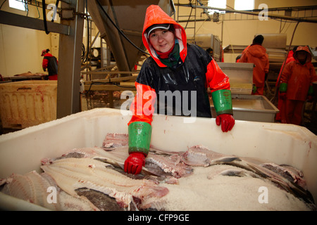 Dans une usine de poisson Röst, Lofoten, Norvège Banque D'Images