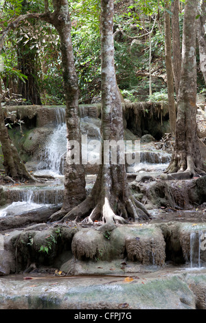 Après la saison des pluies, les chutes d'Erawan étagée (Kanchanaburi-Thailand). La cascade à rebonds d'Erawan (Kanchanaburi). Banque D'Images