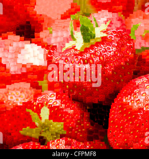 Mosaïque de fraises fraîchement cueillies, Fragaria ananassa Banque D'Images