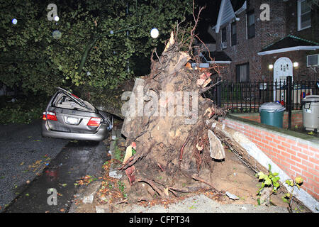 Une voiture écrasée par un arbre tombé dans le Queens Village dans le quartier Queens Borough de New York. Une brève mais violente tempête a balayé la ville de New York, déracinant des arbres et d'endommager les voitures. La ville de New York, USA - 16.09.10 Banque D'Images