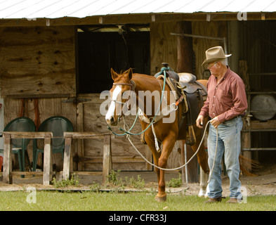 Un cowboy menant son cheval à l'extérieur de la porcherie. Banque D'Images