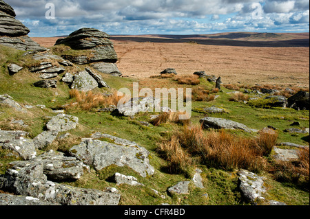 Paysage de Dartmoor montrant beaucoup de liens Tor, l'augmentation de l'acide et l'herbe de chèvre Dunna views Banque D'Images