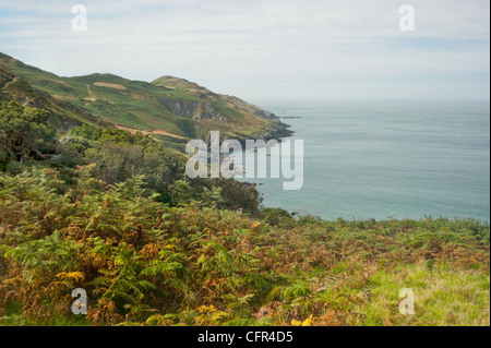 Devon littoral ouest vu de falaises entre Woolacombe et Ilfracombe England UK Banque D'Images