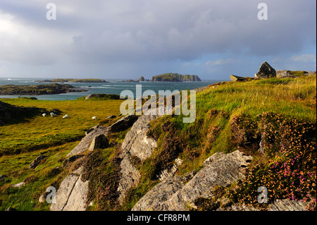 Paysage sauvage, Isle Of Lewis, Western Isles, Ecosse, Royaume-Uni, Europe Banque D'Images