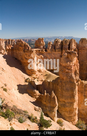 Bouleau noir Canyon, Bryce Canyon National Park, Utah, États-Unis d'Amérique, Amérique du Nord Banque D'Images