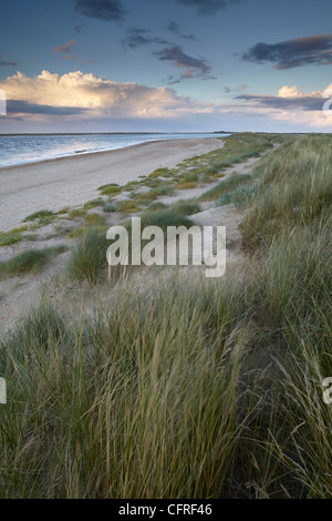La vue vers l'île de tête Scolt , Norfolk, Angleterre, Royaume-Uni, Europe Banque D'Images
