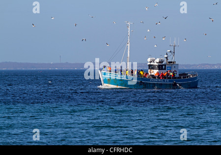 Location de bateaux de pêche et d'excursion Hanne Berit retourner à Où acheter d'un voyage de pêche sur le pont Oresund avec jusqu'à 33 pêcheurs. Banque D'Images