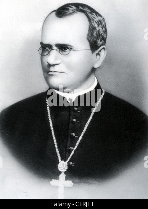 GREGOR Mendel (1822-1884) moine autrichien et scientifique qui a fondé la génétique Banque D'Images