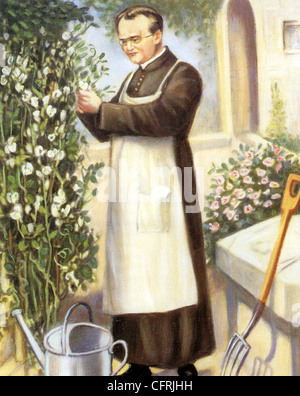 GREGOR Mendel (1822-1884) moine autrichien et scientifique qui a fondé la génétique Banque D'Images