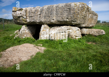 Chambre funéraire néolithique à Lligwy, près de Llangefni, Anglesey, au nord du Pays de Galles Banque D'Images