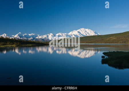 Denali (Mt. McKinley) se reflète dans l'eau du lac étonnant sur une journée dans le parc national Denali, AK, États-Unis d'Amérique. Banque D'Images