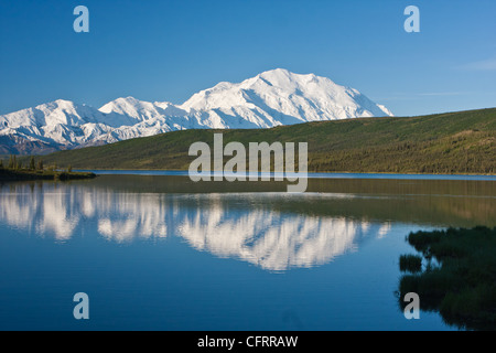 Denali (Mt. McKinley) se reflète dans l'eau du lac étonnant sur une journée dans le parc national Denali, AK, États-Unis d'Amérique. Banque D'Images