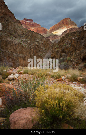 Ciel orageux s'allumer les falaises du Grand Canyon au-dessus du ruisseau Monument, le Parc National du Grand Canyon, Arizona, USA. Banque D'Images