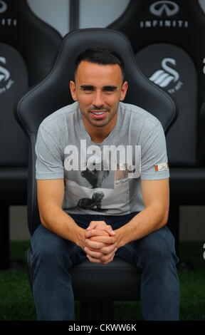 Sur la photo : Joueur de Leon Britton. Jeudi 23 août 2012 Re : Barclay's Premier League Swansea City FC conférence de presse au Liberty Stadium, dans le sud du Pays de Galles, Royaume-Uni. Banque D'Images