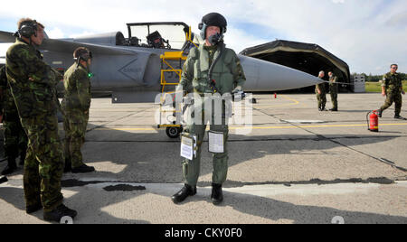 Le ministre de la défense tchèque Alexandr Vondra (non représenté) visité tchèque pilotes à la base aérienne de Siauliai, Lituanie le 31 août 2012. Les pilotes de l'espace aérien tchèque de patrouille de la Baltique avec quatre JAS - 39 Gripens (photo) de septembre 2012 à janvier 2013. (CTK Photo/Vit Simanek) Banque D'Images