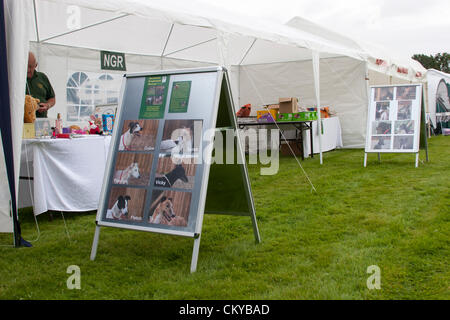 2 septembre 2012. Greyhound Northants Gala de sauvetage 24. À l'Holiday Inn. Crick. Le Northamptonshire UK. Rng est un organisme de bienfaisance enregistré et a été établi en 2000 pour fournir un plan de sauvetage, la réhabilitation et le service de relocalisation à pris sa retraite, abandonnés et les lévriers dans le Northamptonshire. Banque D'Images