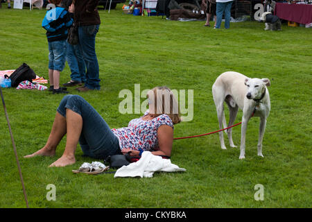 2 septembre 2012. Greyhound Northants Gala de sauvetage 24. À l'Holiday Inn. Crick. Le Northamptonshire UK. Rng est un organisme de bienfaisance enregistré et a été établi en 2000 pour fournir un plan de sauvetage, la réhabilitation et le service de relocalisation à pris sa retraite, abandonnés et les lévriers dans le Northamptonshire. Banque D'Images