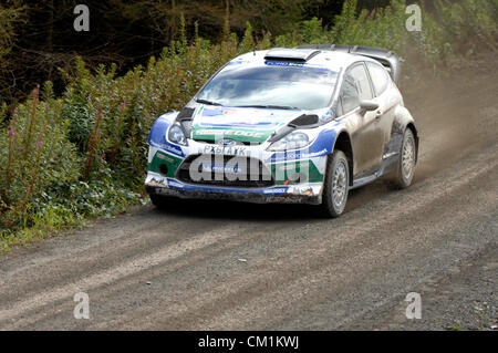 14 septembre 2012 - Devils Bridge - Mid Wales - UK P. SOLBERG sur la SS6 Myherin étape du Wales Rally GB dans les forêts du pays de Galles cet après-midi. Banque D'Images