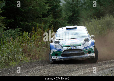 14 septembre 2012 - Pont de diables - Pays de Galles : WRC Wales Rally GB SS6 stade Myherin : Jari-Matti Latvala et Mikka Anttila pilote de Finlande aller un peu large sur le coude dans les Ford Fiesta RS WRC. Banque D'Images