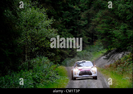 15.09.2012 Powys, Pays de Galles. Nasser Al-Attiyah (QAT) et G Co-Driver Bernacchini (ITA) dans le # 7 Qatar World Rally Team Citroen DS3 WRC en action sur la seconde passe de l'étape de Crychan (SS10) au cours de la deuxième journée de Wales Rally GB, série 10 de la FIA Word Rally Championship. Banque D'Images