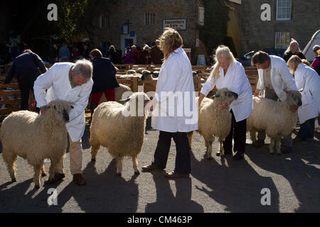 Si l'on en juge Wensleydale Moutons Moutons à l'assemblée annuelle et de l'exposition juger juste, un événement de bienfaisance tenue le 29 et 30 septembre 2012 à Masham market place près de Ripon dans le North Yorkshire Dales, UK Banque D'Images