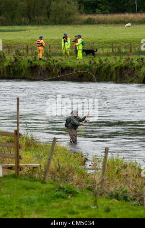 5 octobre 2012. Machynlleth, au Pays de Galles, Royaume-Uni. Un homme poissons tandis que des garde-côtes de la rivière recherche et terrain attenant. Après une nuit de recherche tous les 5 ans Avril Jones est toujours manquant. Elle a été vue pour la dernière fois d'entrer dans un van de couleur claire alors qu'elle jouait sur son vélo avec des amis près de chez elle sur le Bry-Y-Gog estate autour de 19.00h le lundi 1er octobre 2012. Mark Bridger 46 suspects, a été arrêté le 2 octobre 2012, et est remis en question pour la troisième fois. Crédit photo : Graham M. Lawrence. Banque D'Images