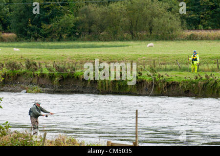 5 octobre 2012. Machynlleth, au Pays de Galles, Royaume-Uni. Un homme poissons tandis que des garde-côtes de la rivière recherche et terrain attenant. Après une nuit de recherche tous les 5 ans Avril Jones est toujours manquant. Elle a été vue pour la dernière fois d'entrer dans un van de couleur claire alors qu'elle jouait sur son vélo avec des amis près de chez elle sur le Bry-Y-Gog estate autour de 19.00h le lundi 1er octobre 2012. Mark Bridger 46 suspects, a été arrêté le 2 octobre 2012, et est remis en question pour la troisième fois. Crédit photo : Graham M. Lawrence. Banque D'Images