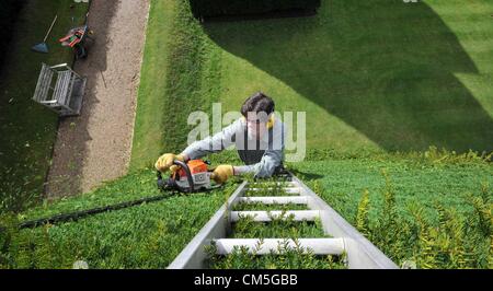 Athelhampton, Dorset, UK. 8 octobre 2012. Patrick Cooke consacre près de deux semaines de chaque année sur une échelle de 12 pieds de haut 30 iconique Yew Tree pyramides de sa demeure seigneuriale à Athelhampton Dorset. Photo par : DORSET MEDIA SERVICE Banque D'Images