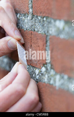 Les mains de l'homme d'appliquer du ruban adhésif sur les fissures de mur de briques. Tir vertical. Banque D'Images