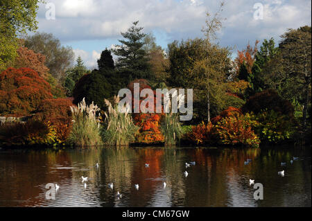 Wakehurst , Sussex, Royaume-Uni. - Le soleil d'automne fait ressortir les couleurs et les visiteurs de Wakehurst place à Sussex Banque D'Images