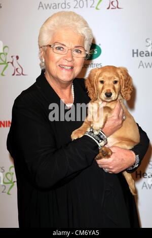 18.10.12 - Pam St Clement à l'audience Specsavers Dog Awards 2012 tenue à la compagnie d'artillerie d'Honneur y compris la présence de Son Altesse Royale la Princesse Royale. Pour plus d'informations contacter Rob haletant - 01844348137 - rob.panting@hearingdogs.org.uk Banque D'Images