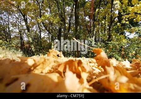 Gdansk, Pologne 20, octobre 2012 Les derniers jours de temps d'automne chaud et ensoleillé en Pologne. Les météorologues prévoient un refroidissement rapide et de la neige la semaine prochaine. Banque D'Images