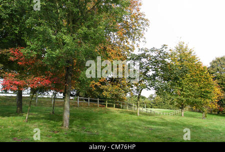 Parc Ampthill, lits, UK. 20 octobre 2012. Bedfordshire, Royaume-Uni - Couleurs d'automne dans et autour du parc Ampthill, Bedfordshire, Royaume-Uni. 20 octobre 2012 Photo par Keith Mayhew/ Alamy Live News Banque D'Images