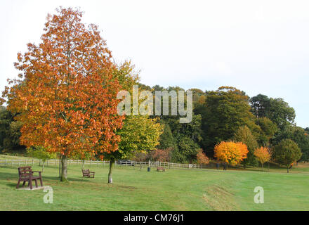 Parc Ampthill, lits, UK. 20 octobre 2012. Bedfordshire, Royaume-Uni - Couleurs d'automne dans et autour du parc Ampthill, Bedfordshire, Royaume-Uni. 20 octobre 2012 Photo par Keith Mayhew/ Alamy Live News Banque D'Images