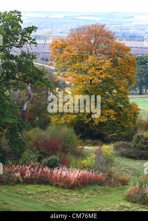 Parc Ampthill, lits, UK. 20 octobre 2012. Bedfordshire, Royaume-Uni - Couleurs d'automne dans et autour du parc Ampthill, Bedfordshire, Royaume-Uni. 20 octobre 2012 Photo par Keith Mayhew/ Alamy Live News Banque D'Images