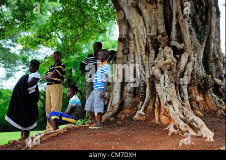 LIMPOPO, AFRIQUE DU SUD - le 13 octobre les membres de la tribu : regardez comme les préparatifs en cours pour obtenir la traditionnelle cérémonie annuelle au Queen Modjadji's palace à invoquer la pluie pour la saison de plantation, le 13 octobre 2012 dans le village d'Khethlakone, dans la région de Limpopo, Afrique du Sud. Les personnes Balobedu, une tribu africaine du groupe sotho du Nord, ont recueilli au cours des deux derniers siècles pour effectuer ce rituel. (Photo par Gallo Images / City Press / Muntu Vilakazi) Banque D'Images