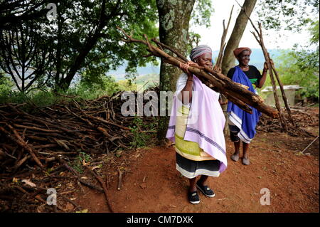 LIMPOPO, AFRIQUE DU SUD - le 13 octobre : Les femmes ramasser du bois comme des préparations en cours pour obtenir la traditionnelle cérémonie annuelle au Queen Modjadji's palace à invoquer la pluie pour la saison de plantation, le 13 octobre 2012 dans le village d'Khethlakone, dans la région de Limpopo, Afrique du Sud. Les personnes Balobedu, une tribu africaine du groupe sotho du Nord, ont recueilli au cours des deux derniers siècles pour effectuer ce rituel. (Photo par Gallo Images / City Press / Muntu Vilakazi) Banque D'Images