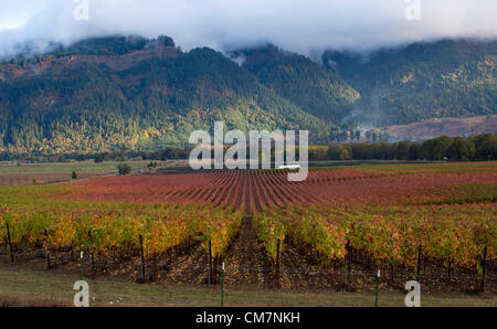 23 octobre 2012 - Roseburg, Oregon, États-Unis - un vignoble en couleurs d'automne dans la campagne près de Roseburg. La zone située à proximité de Roseburg dans le sud-ouest de l'Oregon est une région viticole très productive. Banque D'Images