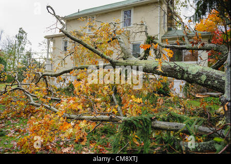 Chappaqua, NY, USA 30 Oct 2012 : Vents de force ouragan de l'Ouragan Sandy a frappé le comté de Westchester à New York lundi. Les arbres tombés ont causé les dommages les plus graves dans les villes non pas sur l'eau, comme on le voit ici le jour après la tempête. Au moins 150 grands arbres ont été abattu à Chappaqua NY. ici un arbre de chêne du voisin a frappé une maison et deux voitures, causant des dommages matériels mais pas de blessés. Ailleurs dans l'Hudson Valley trois personnes, dont deux enfants, est mort quand les arbres sont tombés sur les maisons. Banque D'Images