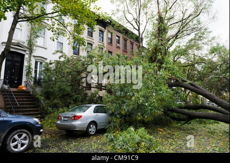 Après l'ouragan Sandy, Park Slope, Brooklyn, New York City, USA. Banque D'Images