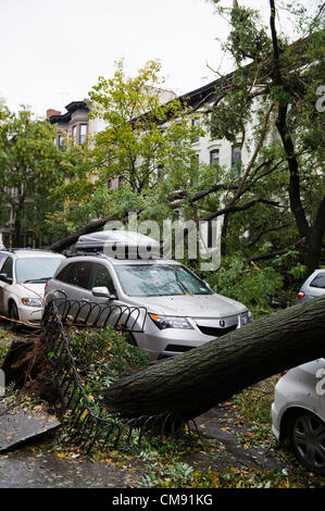 Après l'ouragan Sandy, Park Slope, Brooklyn, New York City, USA. Banque D'Images