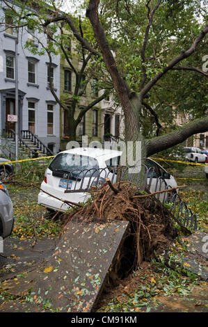 Après l'ouragan Sandy, Park Slope, Brooklyn, New York City, USA. Banque D'Images