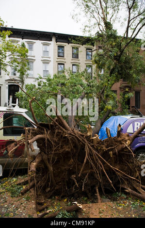 Après l'ouragan Sandy, Park Slope, Brooklyn, New York City, USA. Banque D'Images