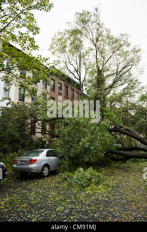 Après l'ouragan Sandy, Park Slope, Brooklyn, New York City, USA. Banque D'Images