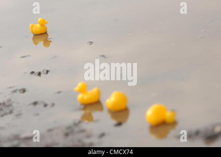 20 juillet 2012, Silverstone, UK canards en caoutchouc flottant dans une flaque à Silverstone Classic 2012. Ces canards se trouvent dans un grand nombre des flaques autour du circuit. Banque D'Images