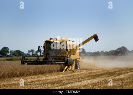 New Holland TX63 combine harvester peignant l'orge dans le Norfolk, Royaume-Uni contre un ciel d'été bleu Banque D'Images